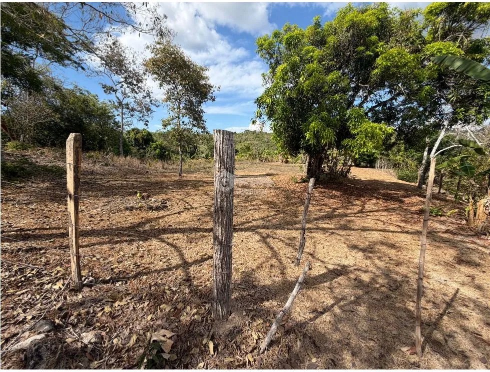 Building Lot for sale in San Carlos