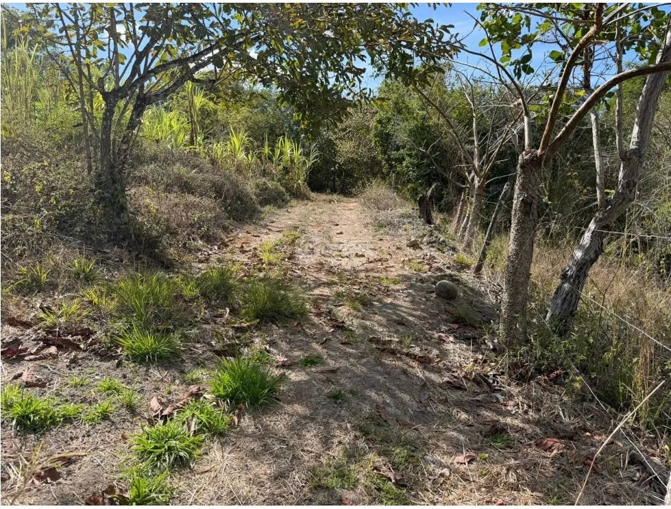 Building Lot for sale in San Carlos
