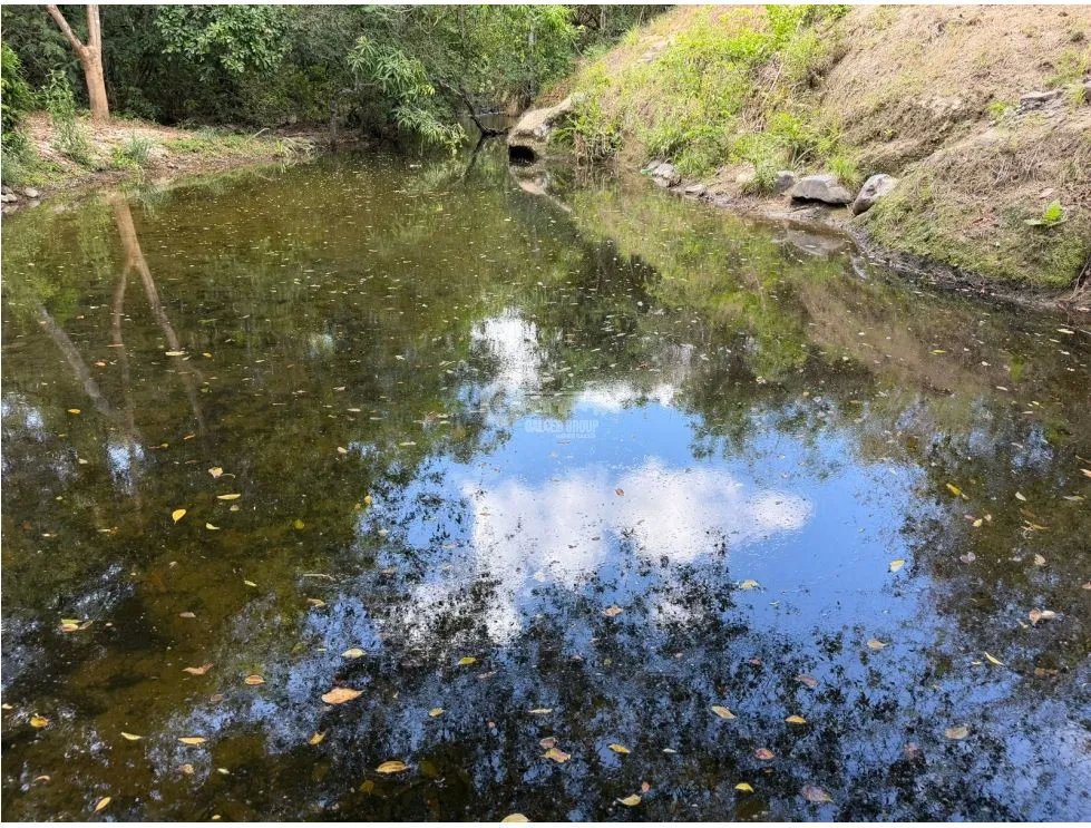 Building Lot for sale in San Carlos
