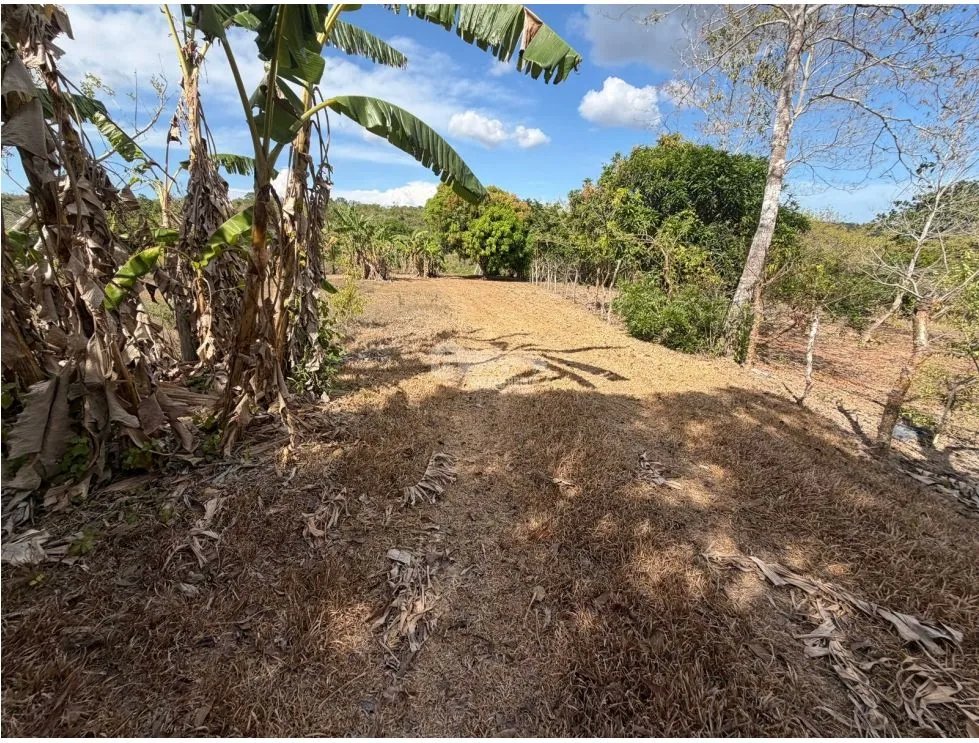 Building Lot for sale in San Carlos