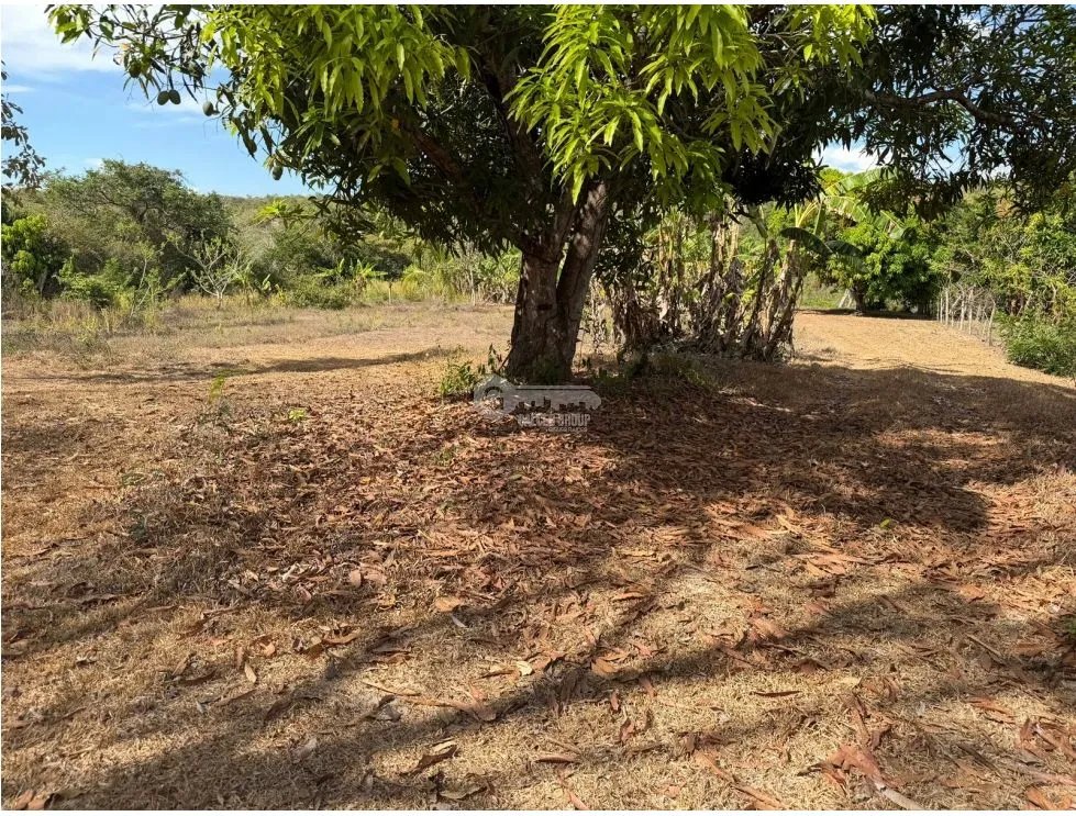 Building Lot for sale in San Carlos