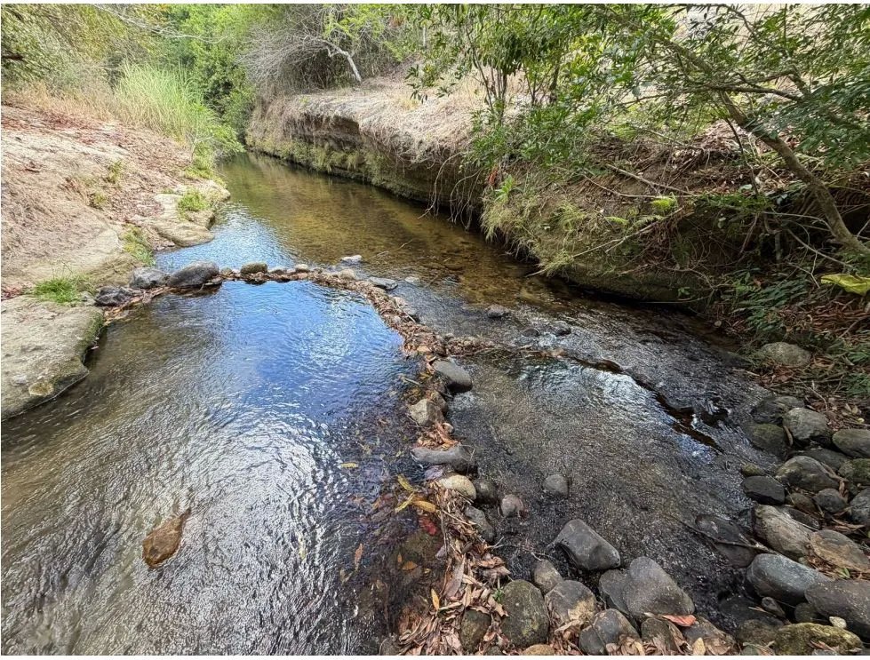 Building Lot for sale in San Carlos