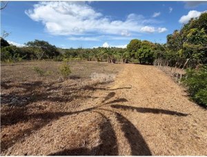 Building Lot for sale in San Carlos