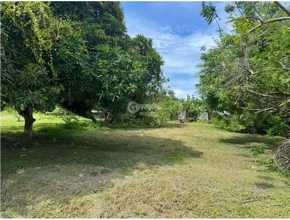 CHAME / GORGONA / CERCA DE PLAYA / 600M / TERRENO PLANO