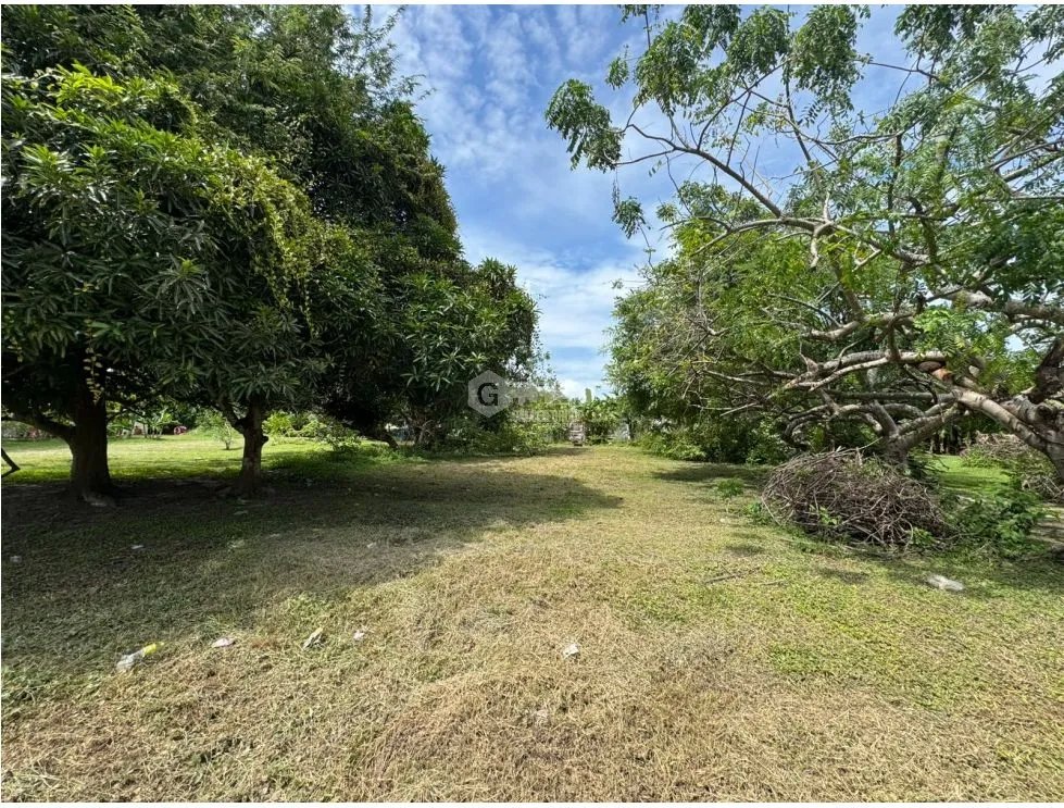 CHAME / GORGONA / CERCA DE PLAYA / 600M / TERRENO PLANO