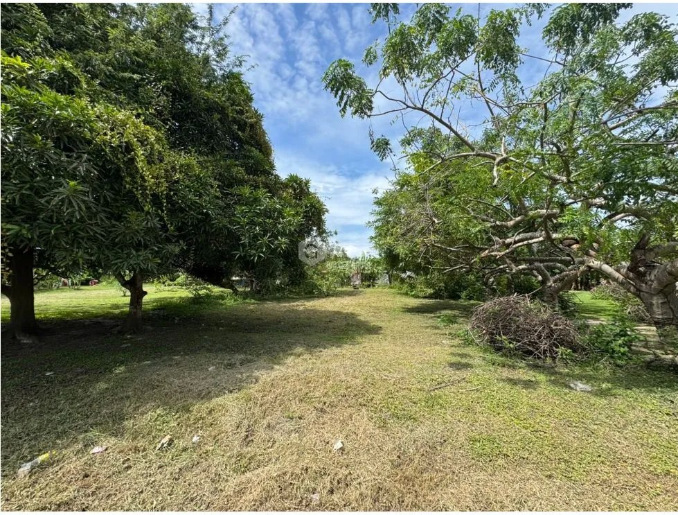 CHAME / GORGONA / CERCA DE PLAYA / 600M / TERRENO PLANO