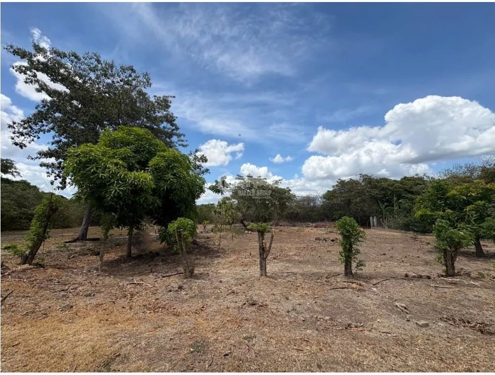 SAN JOSE / 1000M / TERRENO PLANO / SOBRE LA VIA / CERCA DE PLAYA / AG