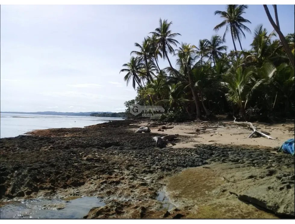 COLON / PLAYA CHIQUITA / 100 HECTAREAS / PARA DESARROLLO FRENTE AL MAR