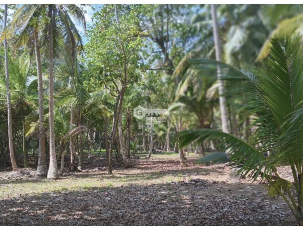 COLON / PLAYA CHIQUITA / 100 HECTAREAS / PARA DESARROLLO FRENTE AL MAR
