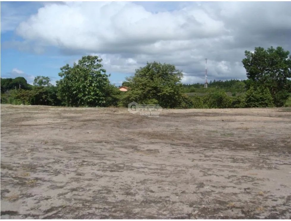 SE VENDE TERRENO DE 32 HAS FRENTE A LA PANAMERICNA SANTA CLARA / AG
