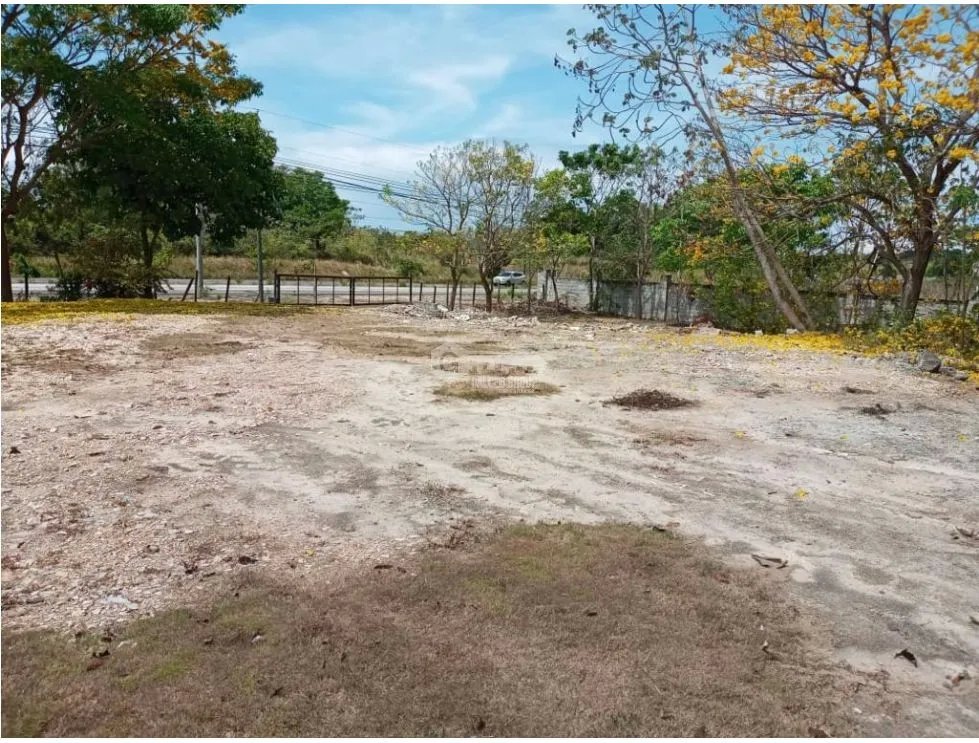 SE VENDE TERRENO DE 32 HAS FRENTE A LA PANAMERICNA SANTA CLARA / AG