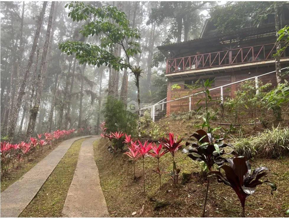 Single Family House for sale in Cerro Azul