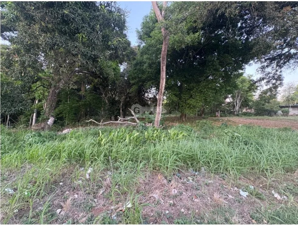 LA CHORRERA / EL ESPINO / 6818M / SOBRE LA VIA / USO COMERCIAL / AG