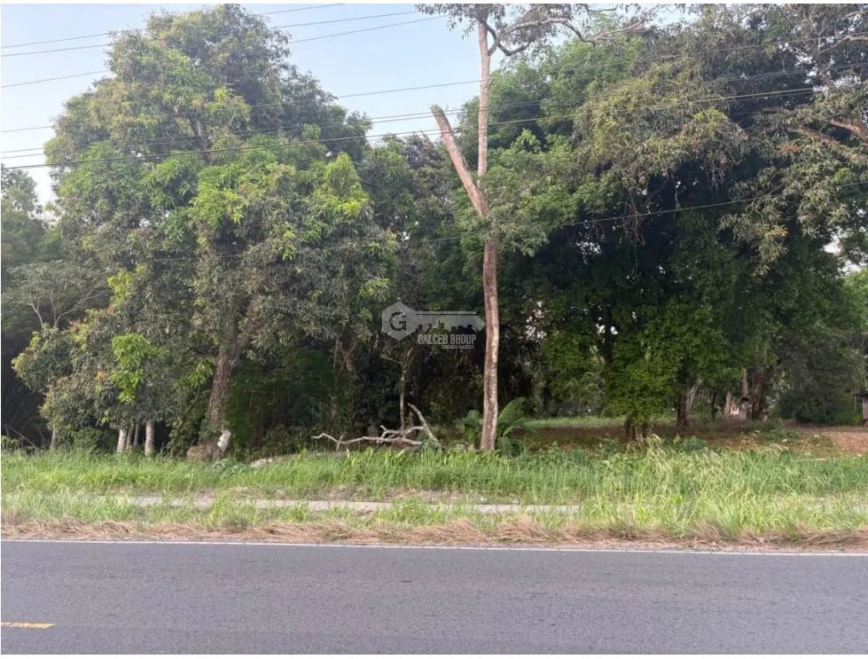 LA CHORRERA / EL ESPINO / 6818M / SOBRE LA VIA / USO COMERCIAL / AG
