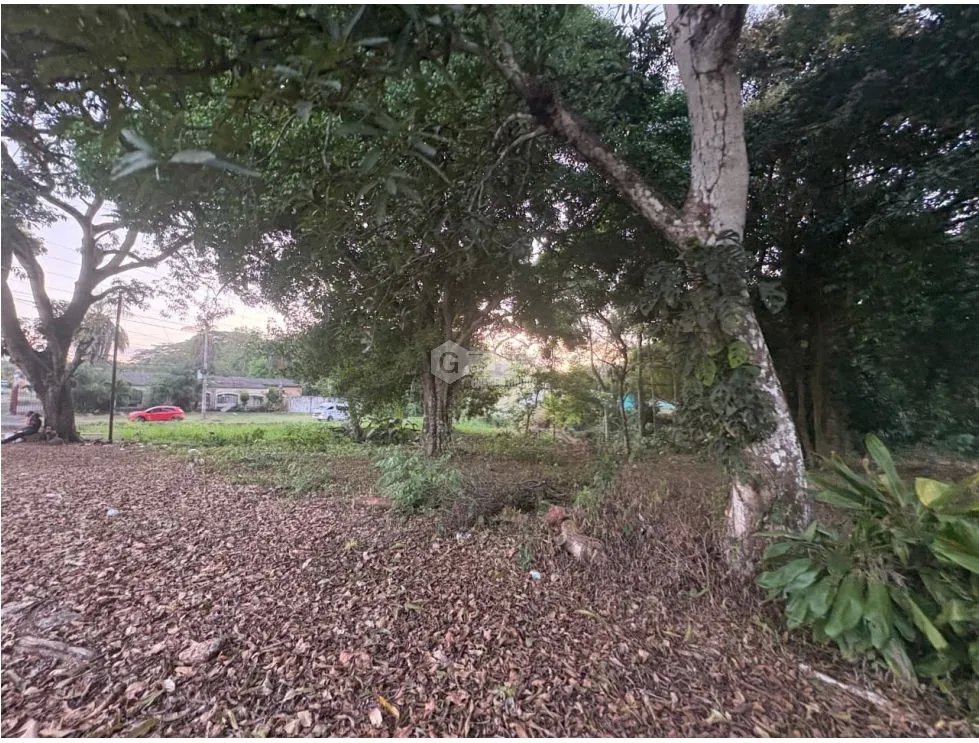 LA CHORRERA / EL ESPINO / 6818M / SOBRE LA VIA / USO COMERCIAL / AG