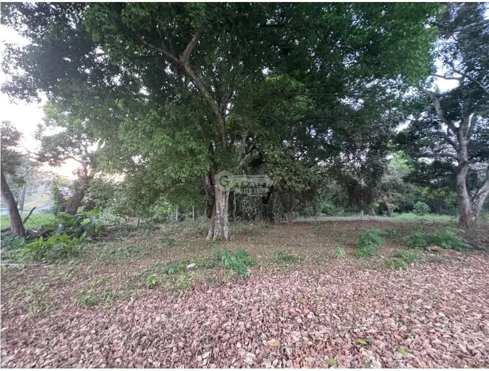 LA CHORRERA / EL ESPINO / 6818M / SOBRE LA VIA / USO COMERCIAL / AG