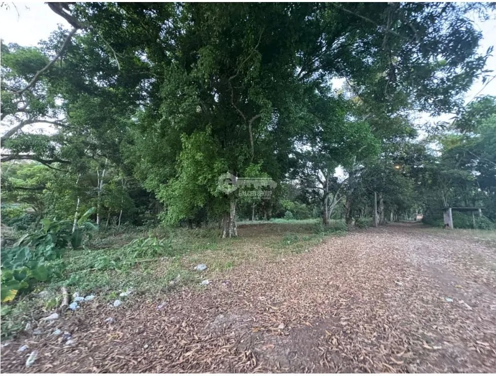 LA CHORRERA / EL ESPINO / 6818M / SOBRE LA VIA / USO COMERCIAL / AG