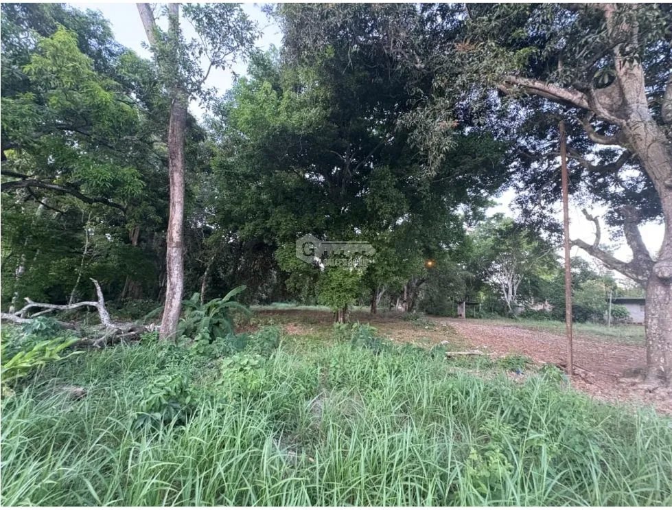LA CHORRERA / EL ESPINO / 6818M / SOBRE LA VIA / USO COMERCIAL / AG