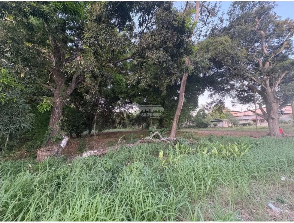LA CHORRERA / EL ESPINO / 6818M / SOBRE LA VIA / USO COMERCIAL / AG