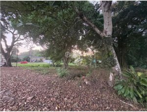 Building Lot for sale in El Espino