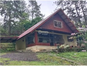 SE VENDE TERRENO CON CASA CERRO AZUL NEV...