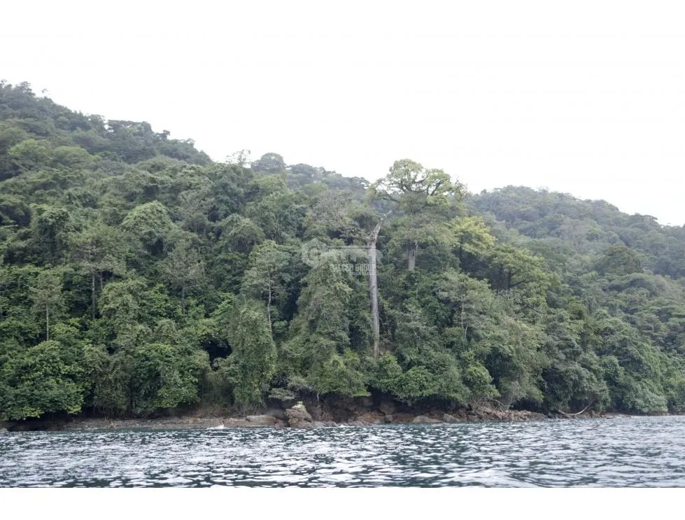 DARIEN / BAHIA PIÑA / 820 HECTAREAS / ISLA TOTALMENTE VIRGEN / AG