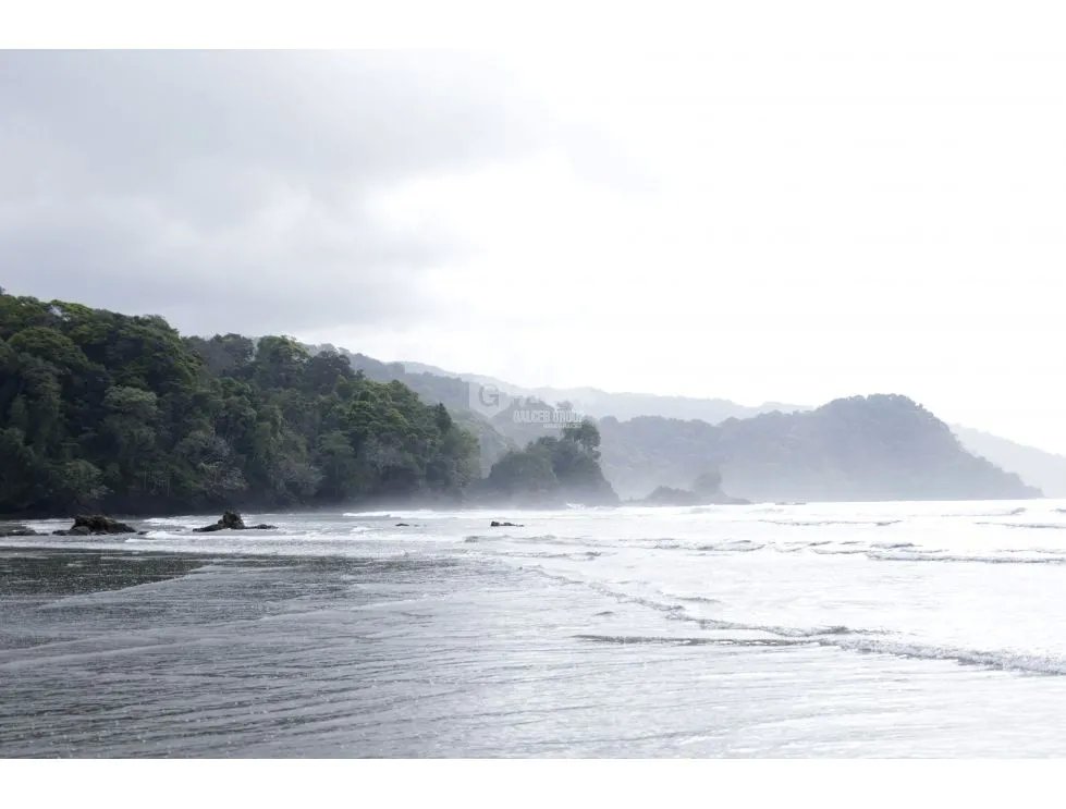 DARIEN / BAHIA PIÑA / 820 HECTAREAS / ISLA TOTALMENTE VIRGEN / AG
