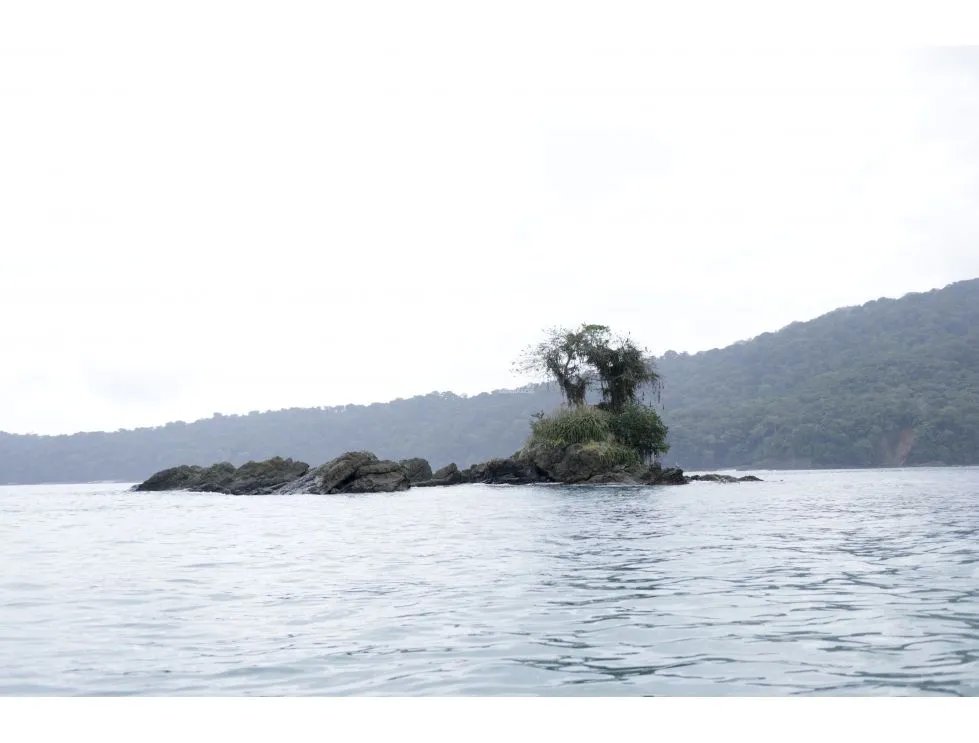 DARIEN / BAHIA PIÑA / 820 HECTAREAS / ISLA TOTALMENTE VIRGEN / AG