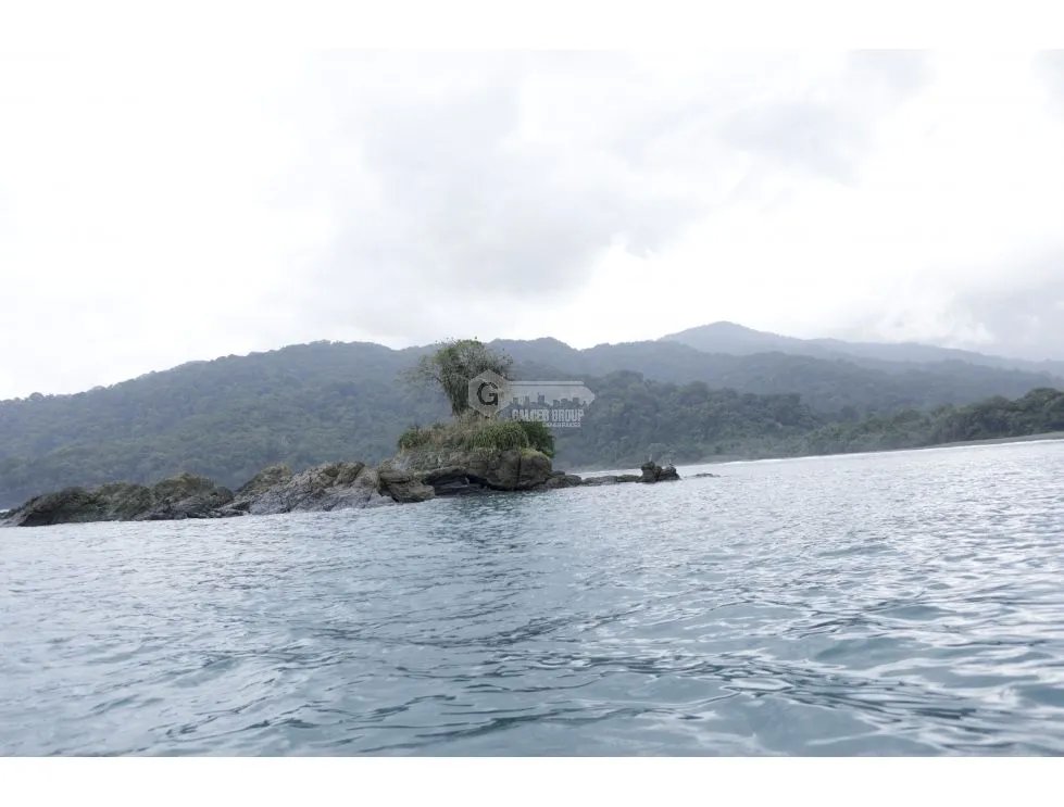 DARIEN / BAHIA PIÑA / 820 HECTAREAS / ISLA TOTALMENTE VIRGEN / AG