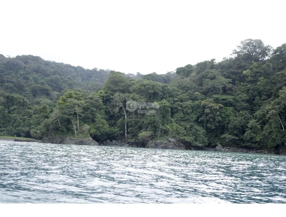 DARIEN / BAHIA PIÑA / 820 HECTAREAS / ISLA TOTALMENTE VIRGEN / AG