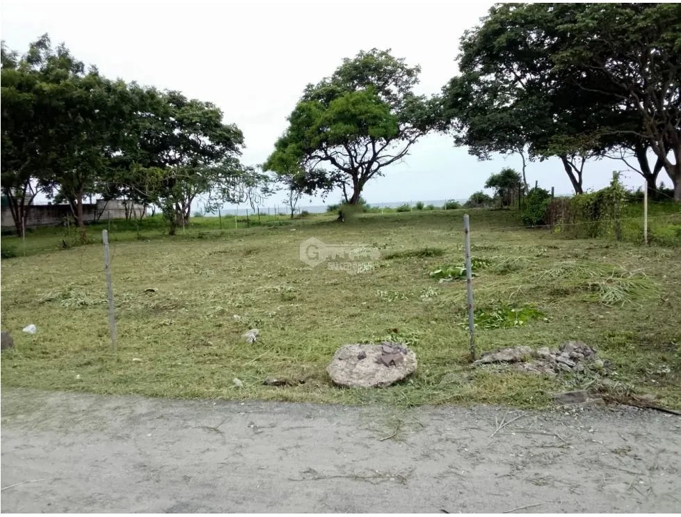 NUEVA GORGONA / MALIBU / 1000M / FRENTE AL MAR / AG