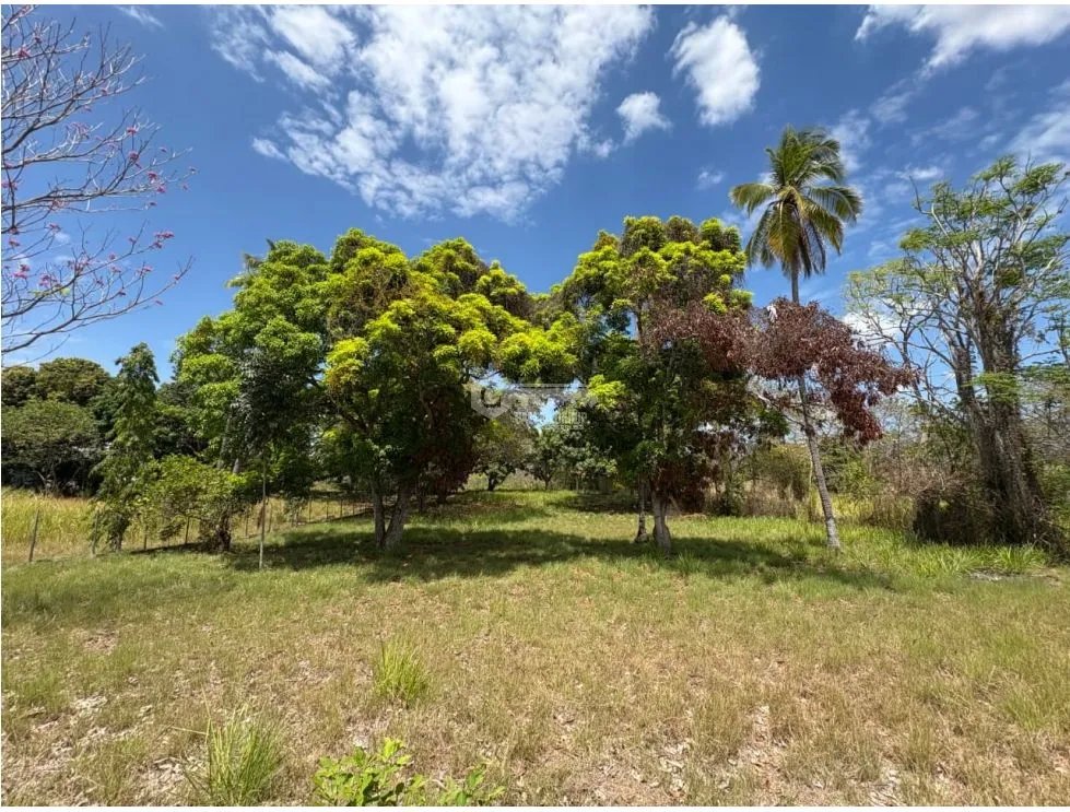 Building Lot for sale in San Carlos