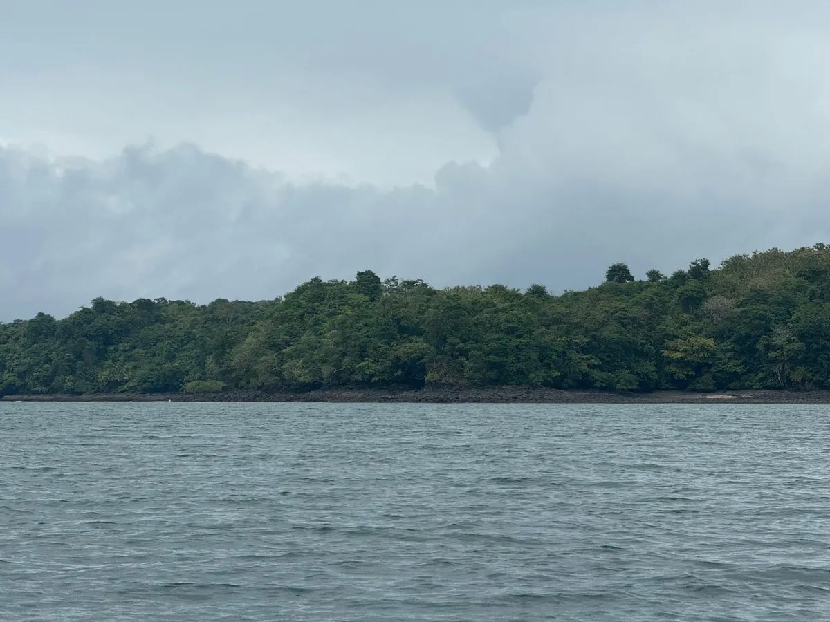 Se Venden 100 Hectáreas en Isla Gobernadora, Veraguas, Panamá  Excele...