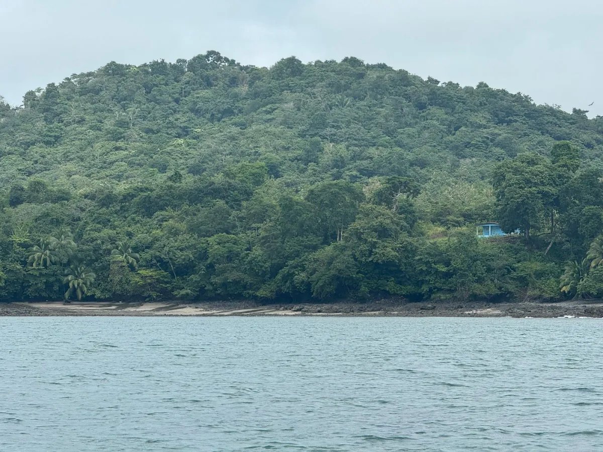 Se Venden 100 Hectáreas en Isla Gobernadora, Veraguas, Panamá  Excele...