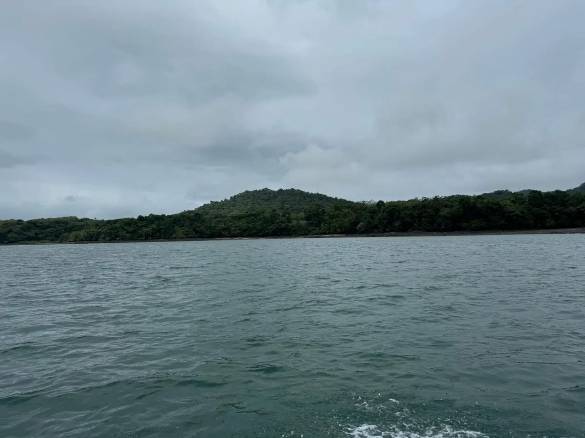 Se Venden 100 Hectáreas en Isla Gobernadora, Veraguas, Panamá  Excele...