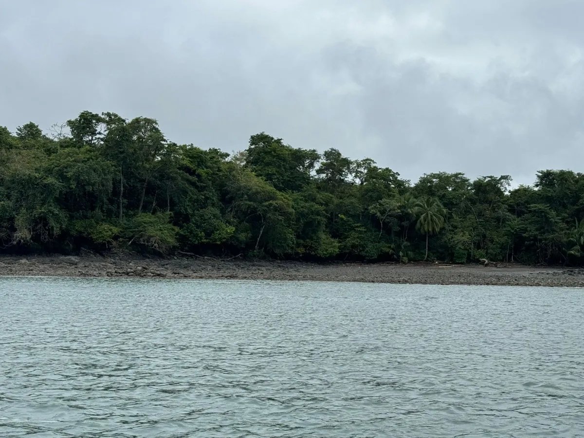 Se Venden 100 Hectáreas en Isla Gobernadora, Veraguas, Panamá  Excelente Oportunidad de Inversión