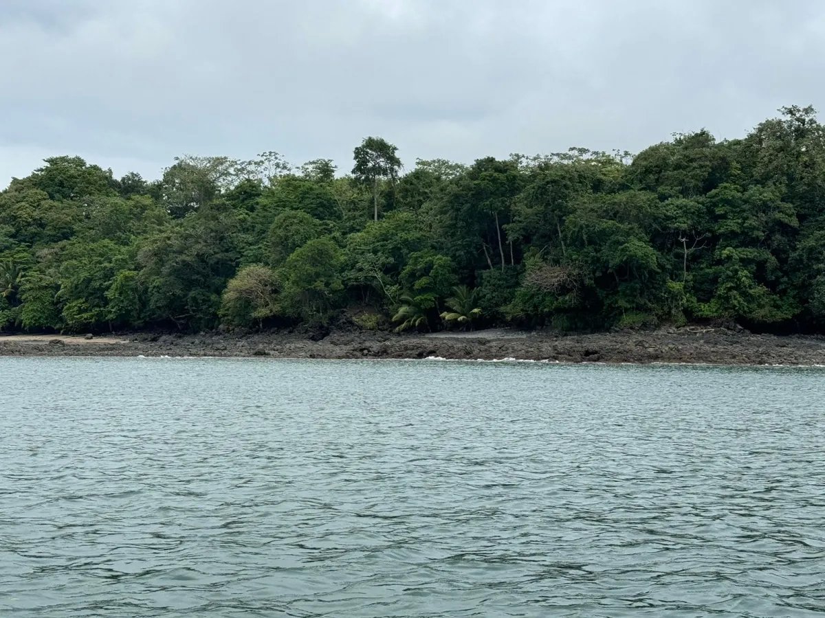 Se Venden 100 Hectáreas en Isla Gobernadora, Veraguas, Panamá  Excelente Oportunidad de Inversión