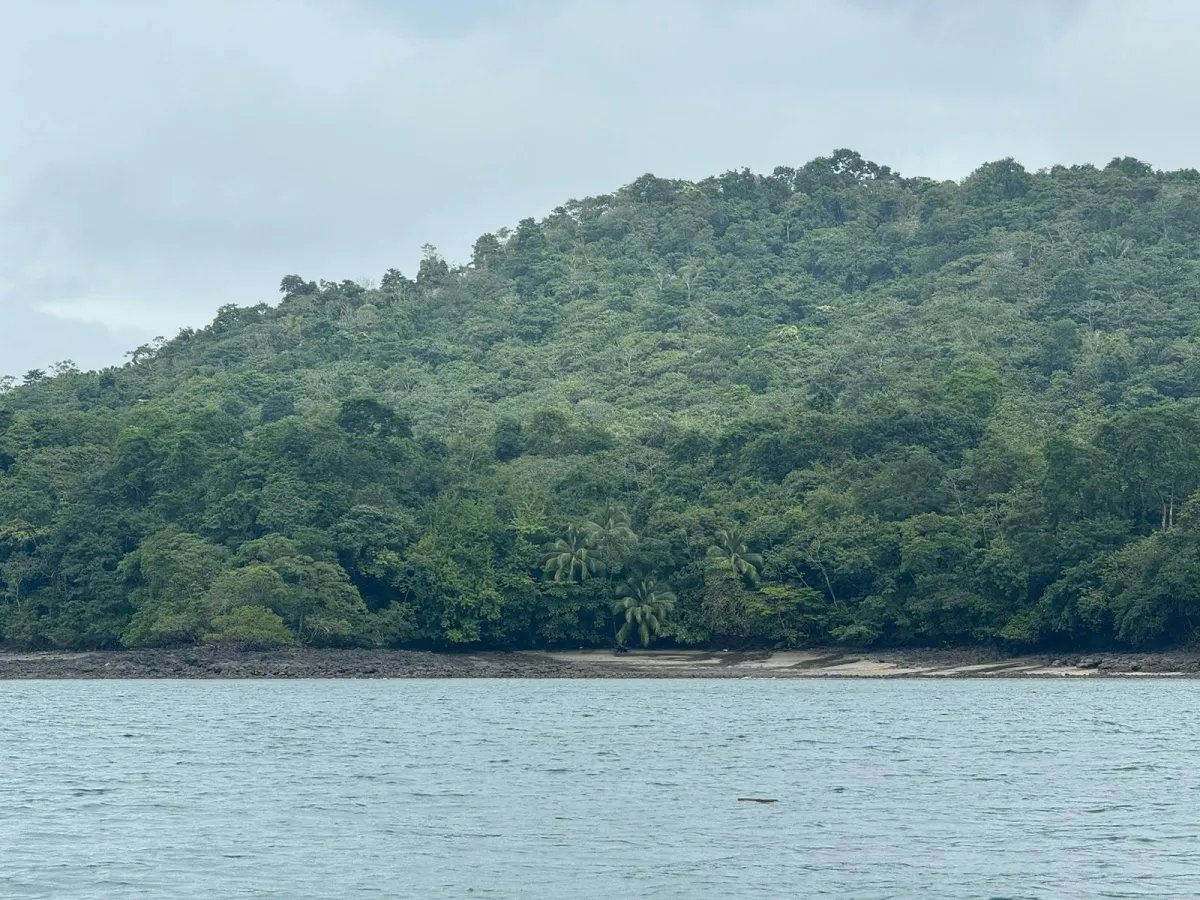 Se Venden 100 Hectáreas en Isla Gobernadora, Veraguas, Panamá  Excelente Oportunidad de Inversión
