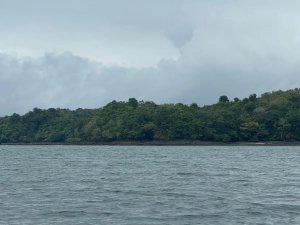 Se Venden 100 Hectáreas en Isla Gobernad...