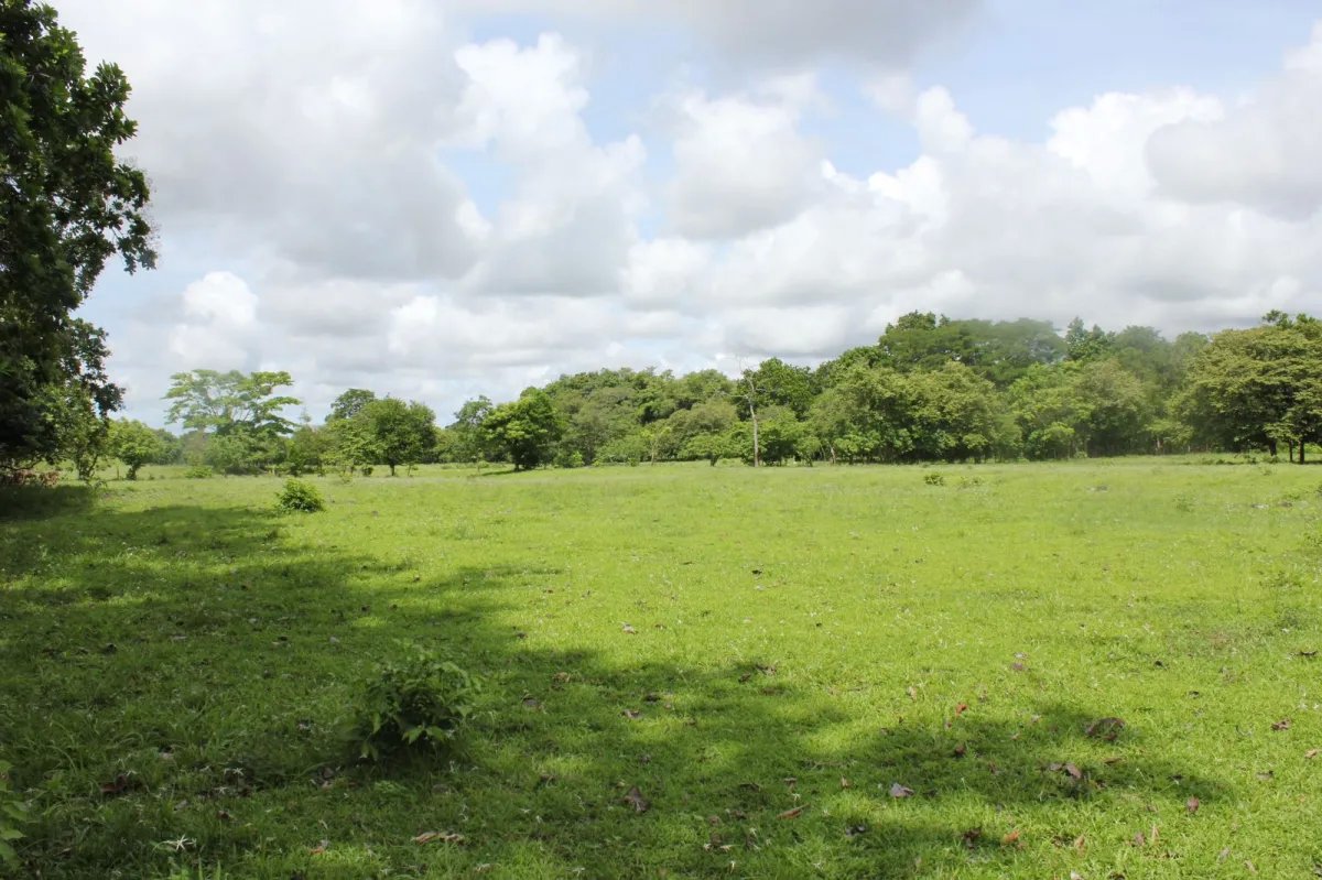 Venta de Terreno en Utivé, Pacora