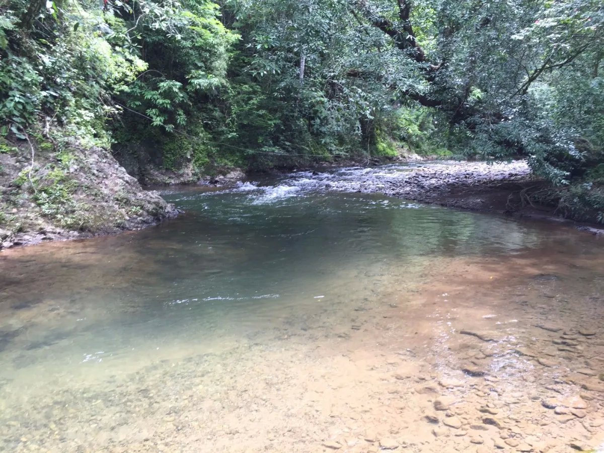 Venta de Finca en Cative, Veraguas