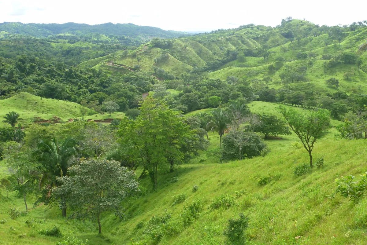 Ranch For Sale in Cative