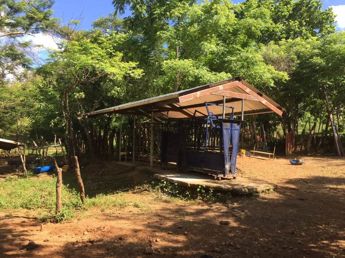 Ranch For Sale in Cative