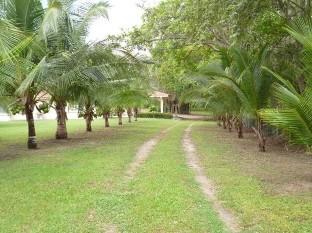 Mobile Home For Sale in Chame