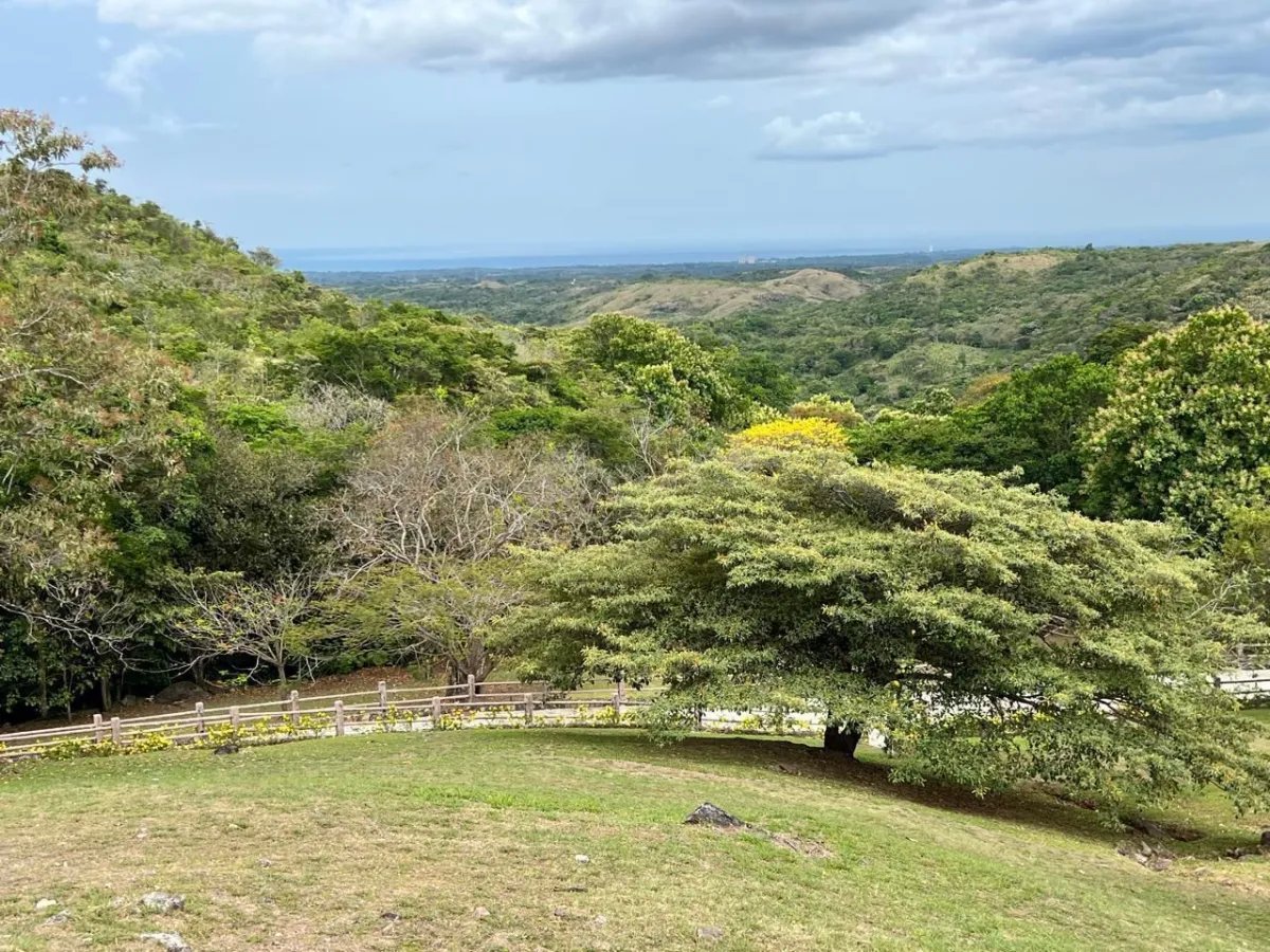 Se vende lote en la Laguna de San Carlos, Proyecto Rancho Santa Fe