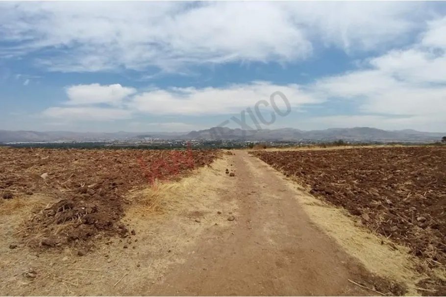 Unimproved Land Off Market in Ex Hacienda de Cuevas, Guanajuato.