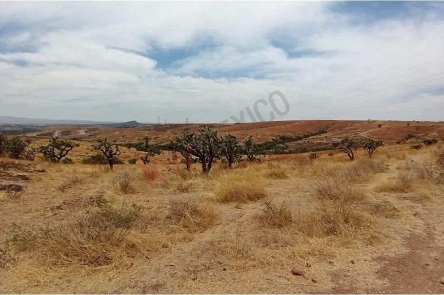 Unimproved Land Off Market in Ex Hacienda de Cuevas, Guanajuato.