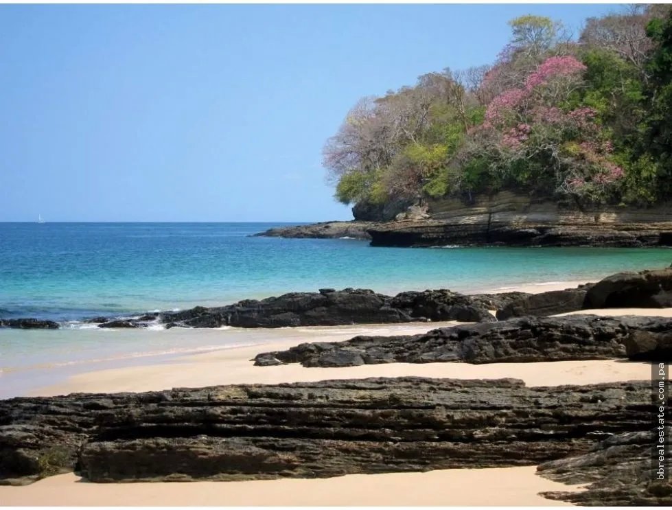 Venta Casa Isla Saboga, Frente Al Mar