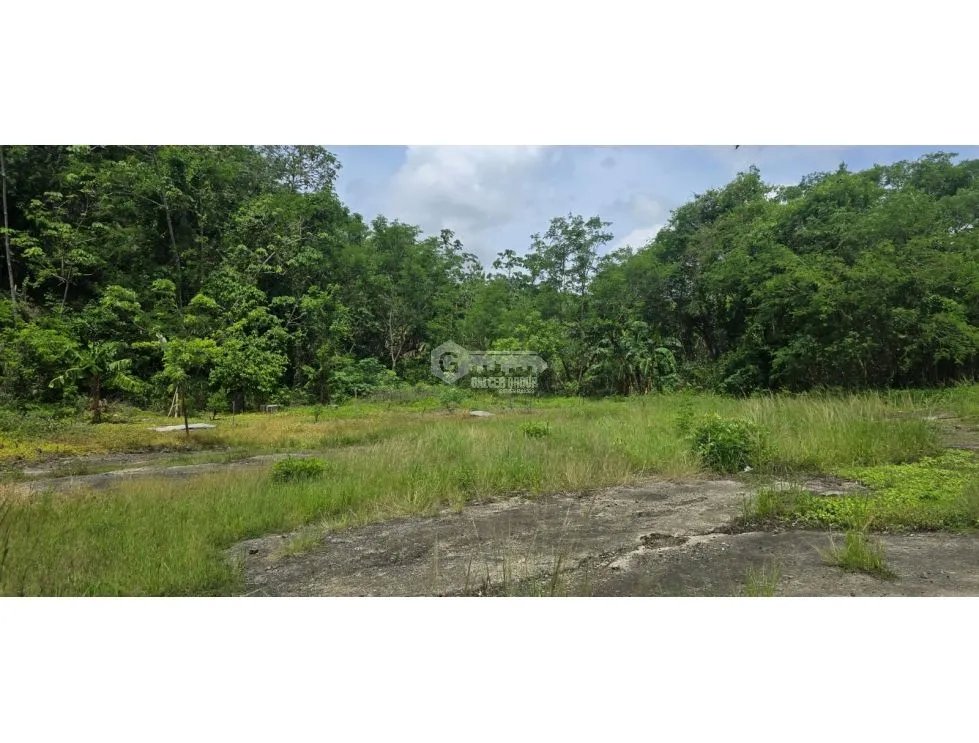 EL CRISOL / ALQUILO LOTE/ 2,000 MTRS