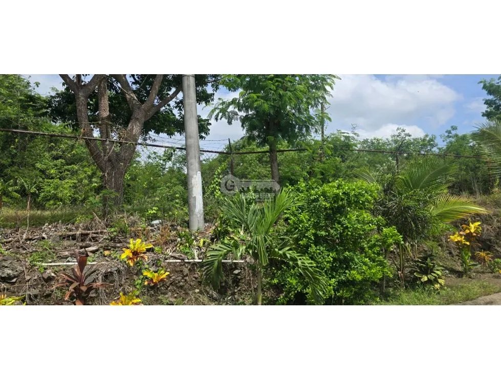 Building Lot for rent in Panama